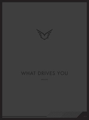 Felt 2013 Performance Catalog